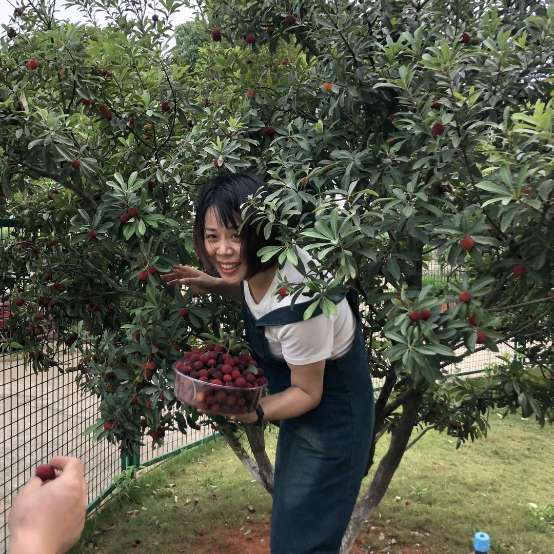 梅寒子