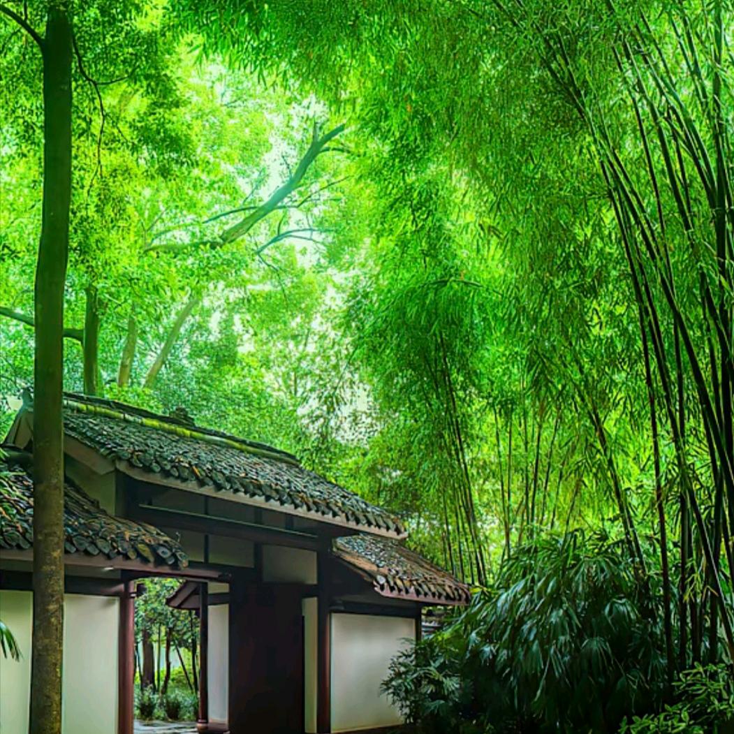 过客
