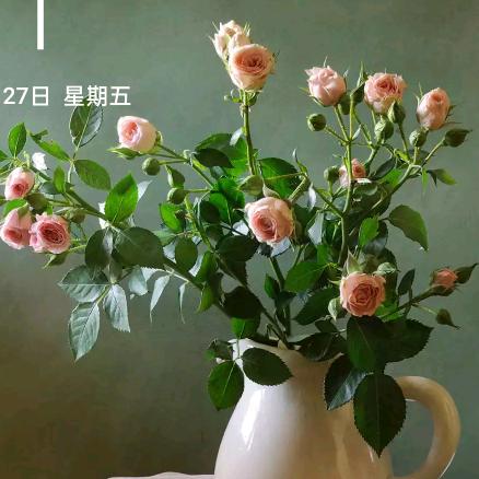包容一切