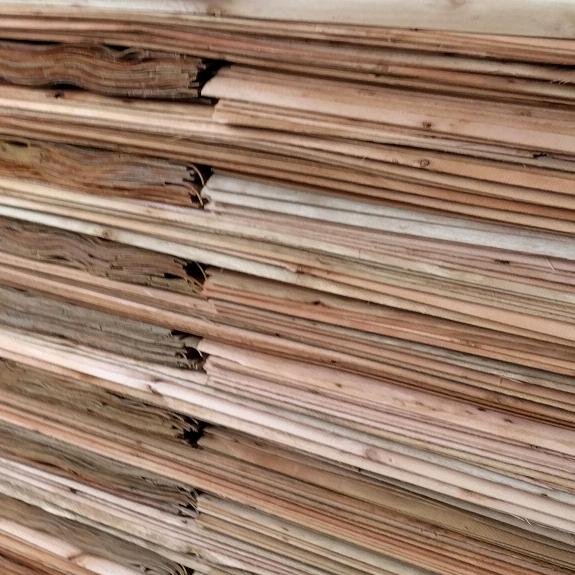 谢春茂，19197911988