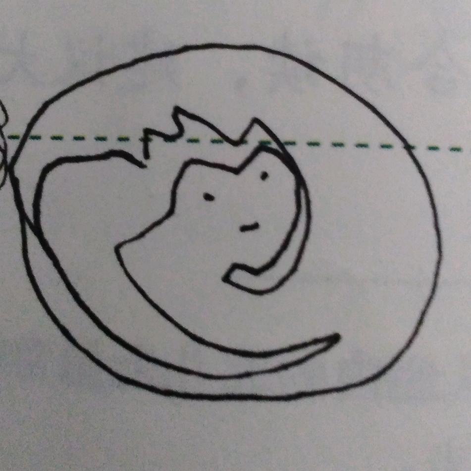 爱看动漫的中二仔