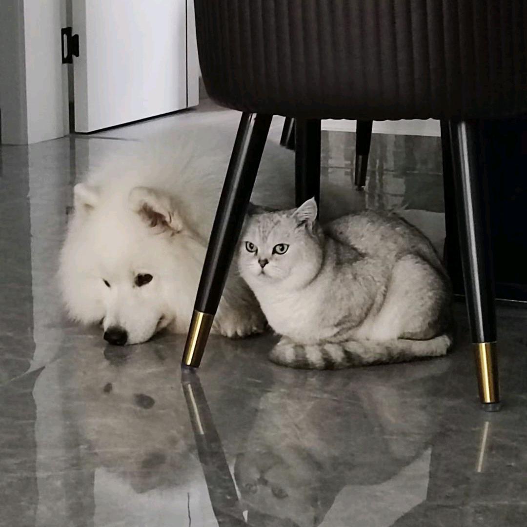 ？头像