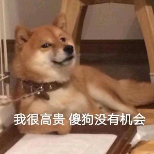 明明白白头像