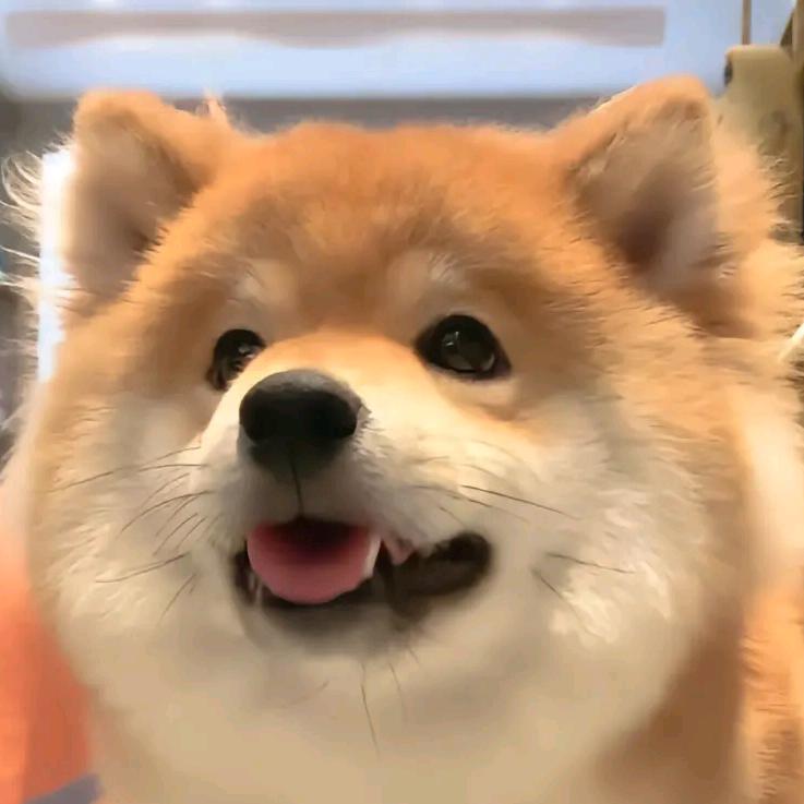 《遗憾》（安稳）