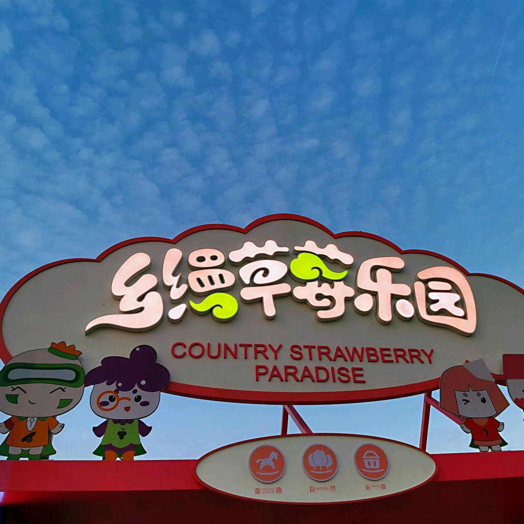 乡缦草莓乐园