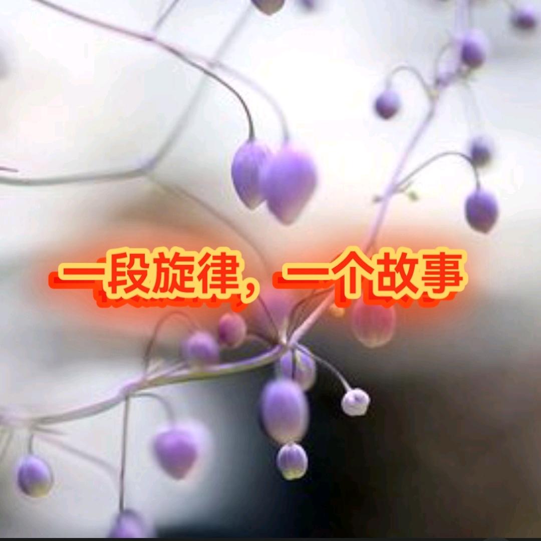 陌陌