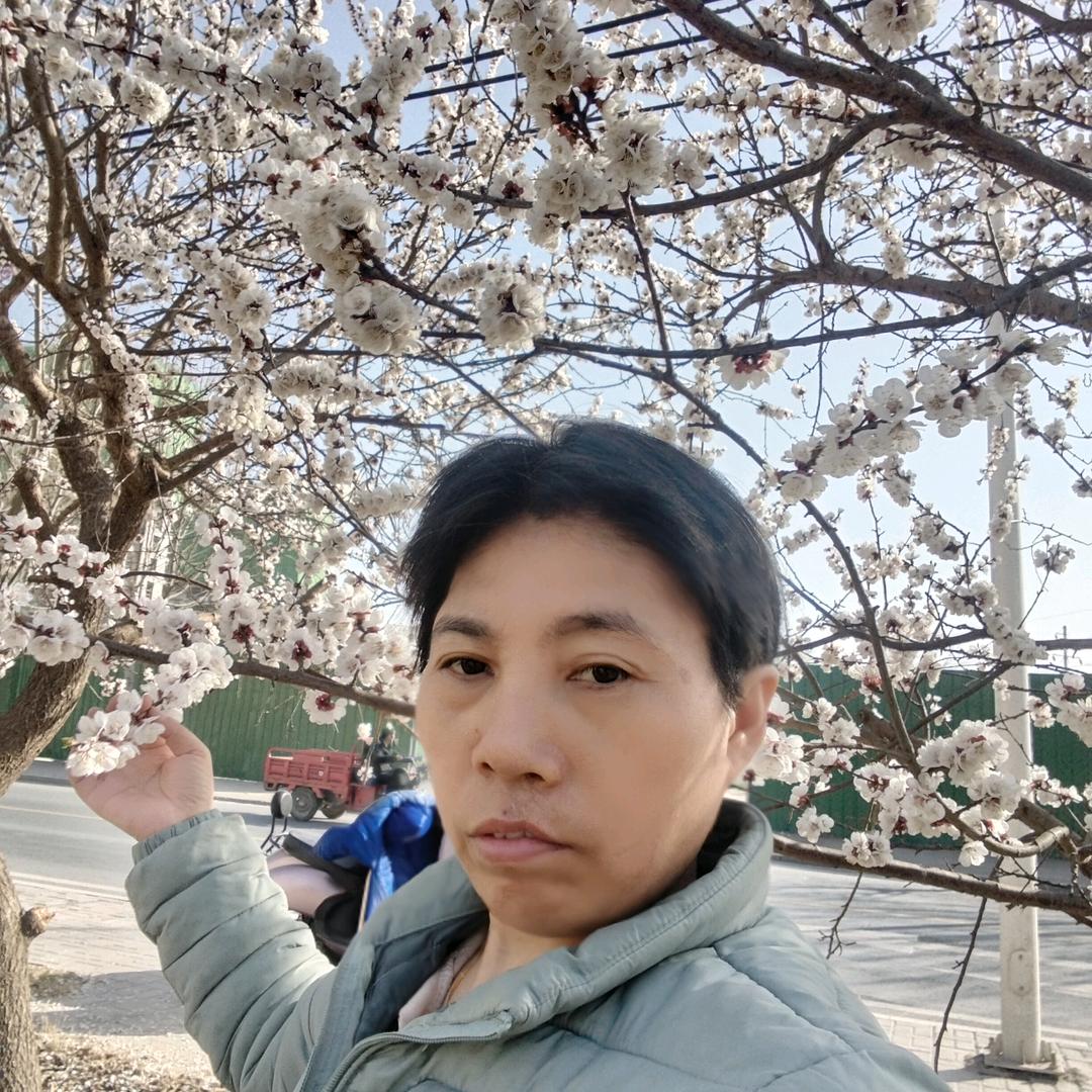 程家的姑娘坚强的站起来