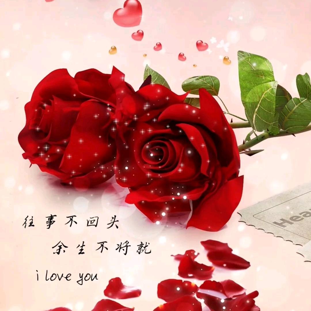 如意丹丹