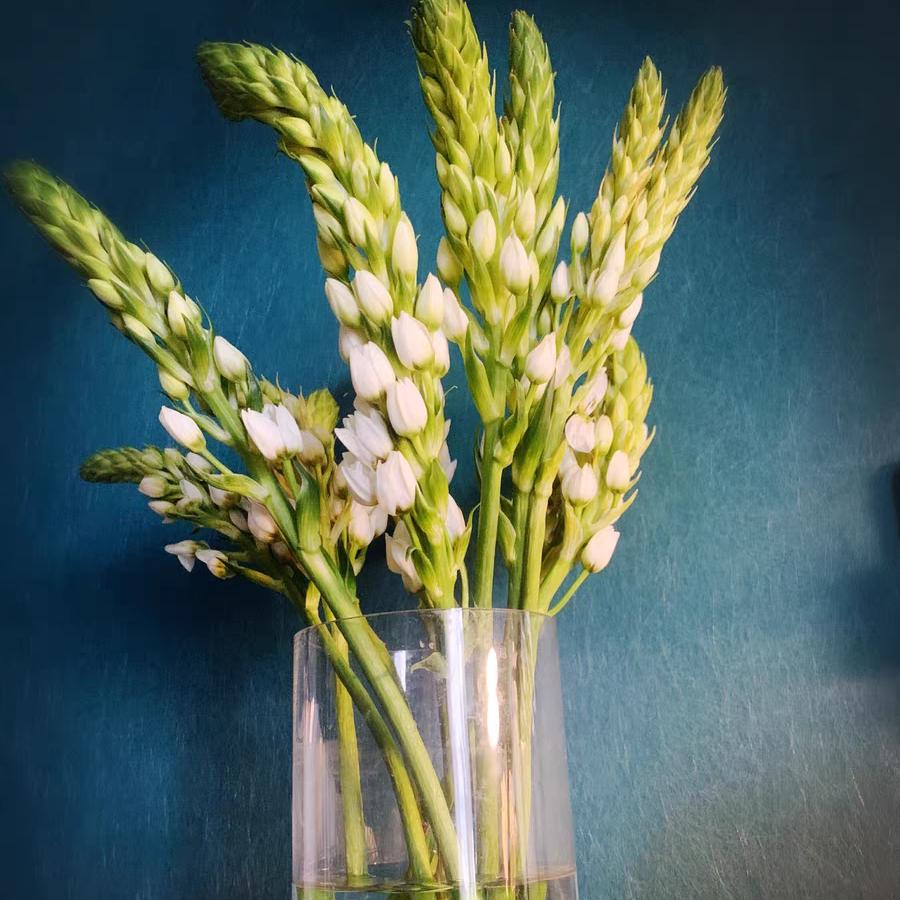 思步雷科技生活坊