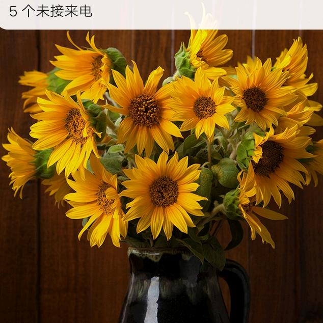 黑色幽默kiis