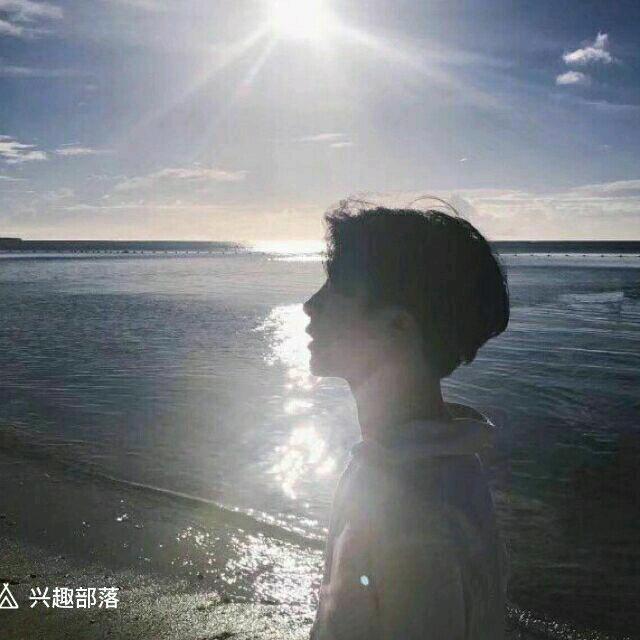 桃花影落飞神剑