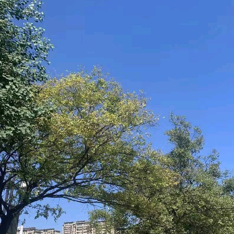 徐州权才优聘