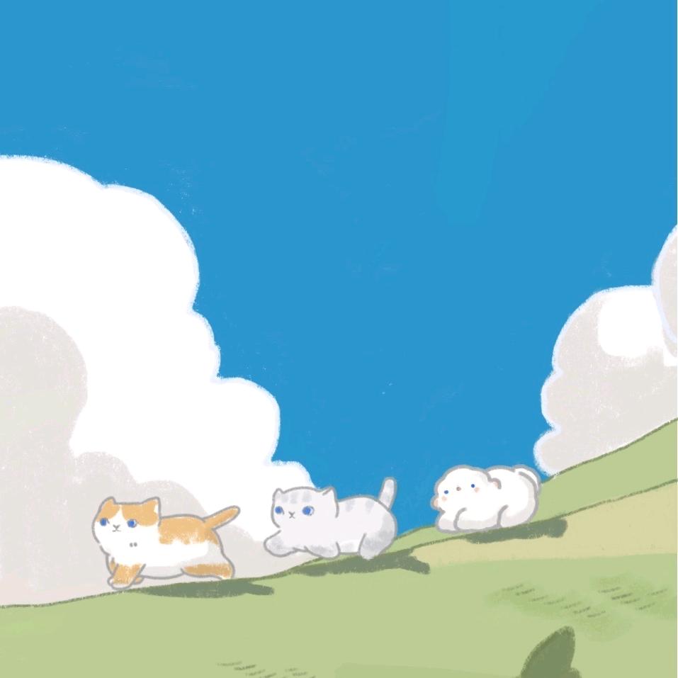 爱吃虾饺的猫猫