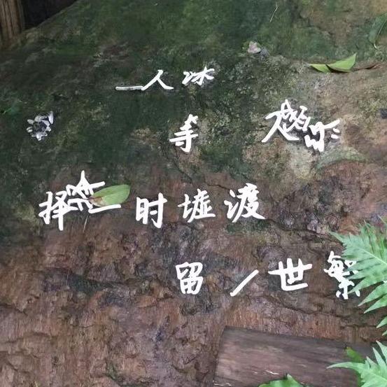 丁丁