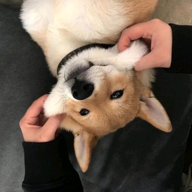 至此。
