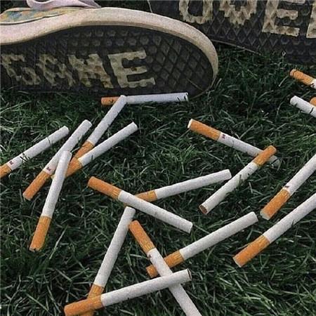 🐬███刮开有奖🧸