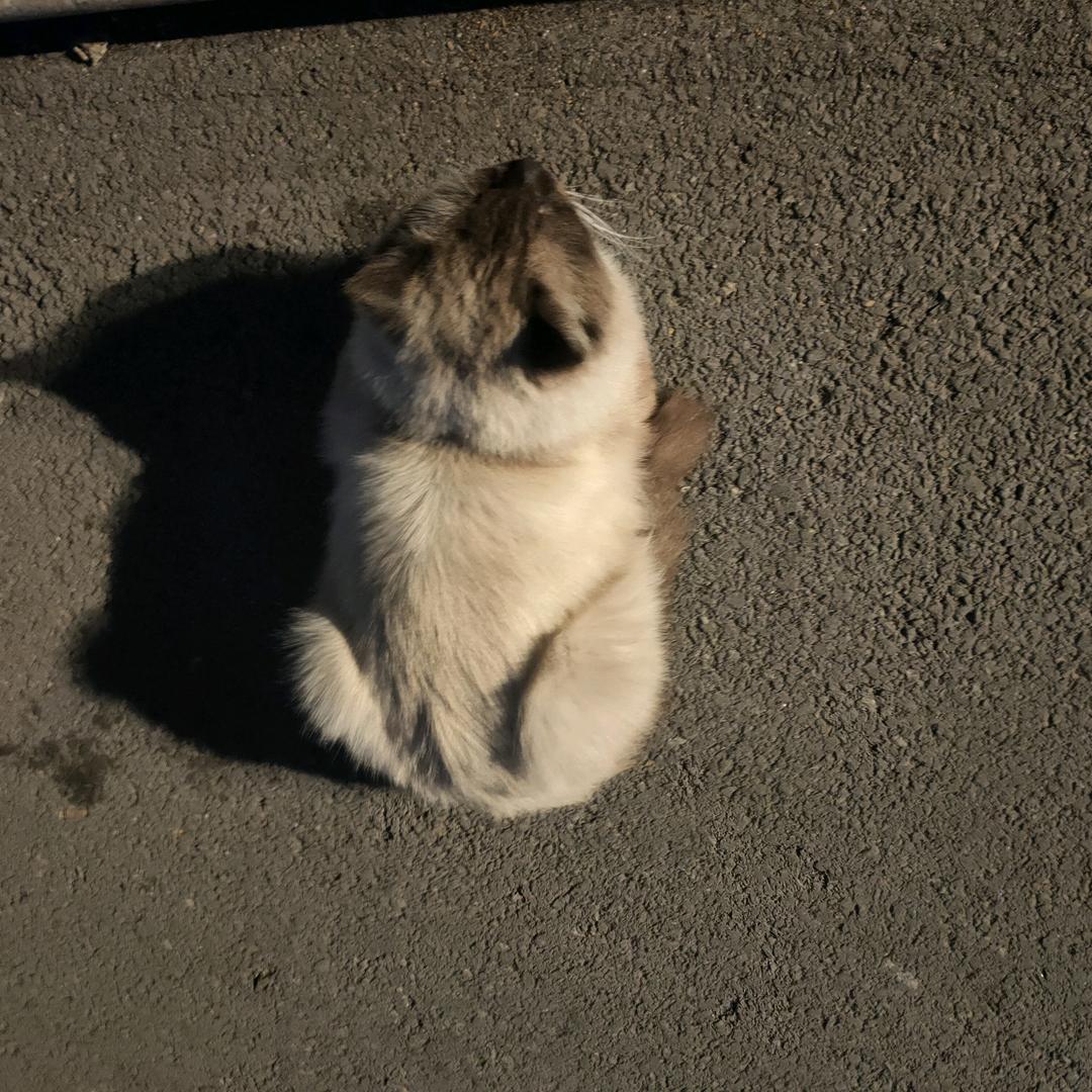 随遇而安，活在当下