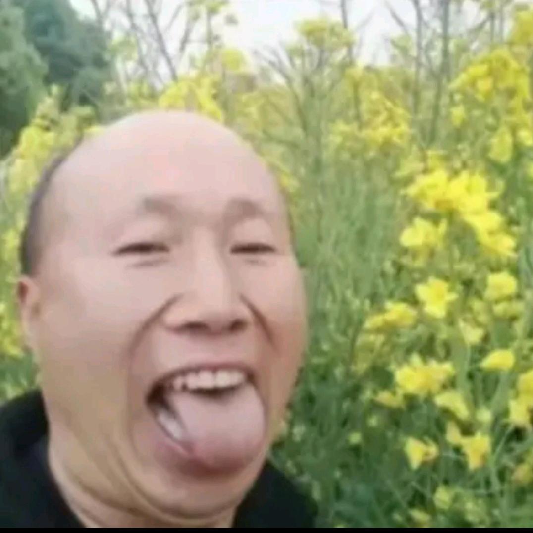 🌷🌷🌷