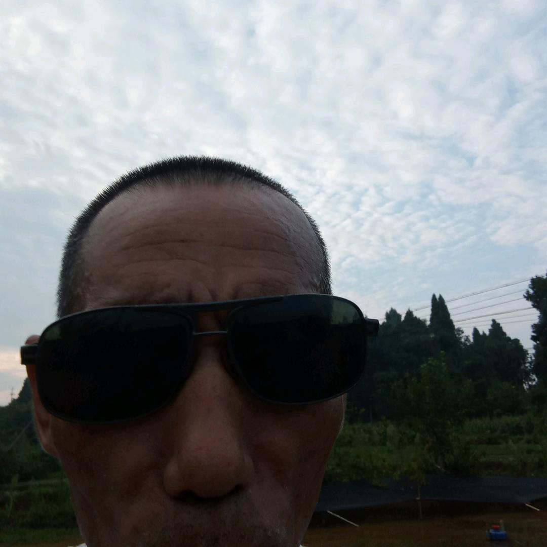 哄哄