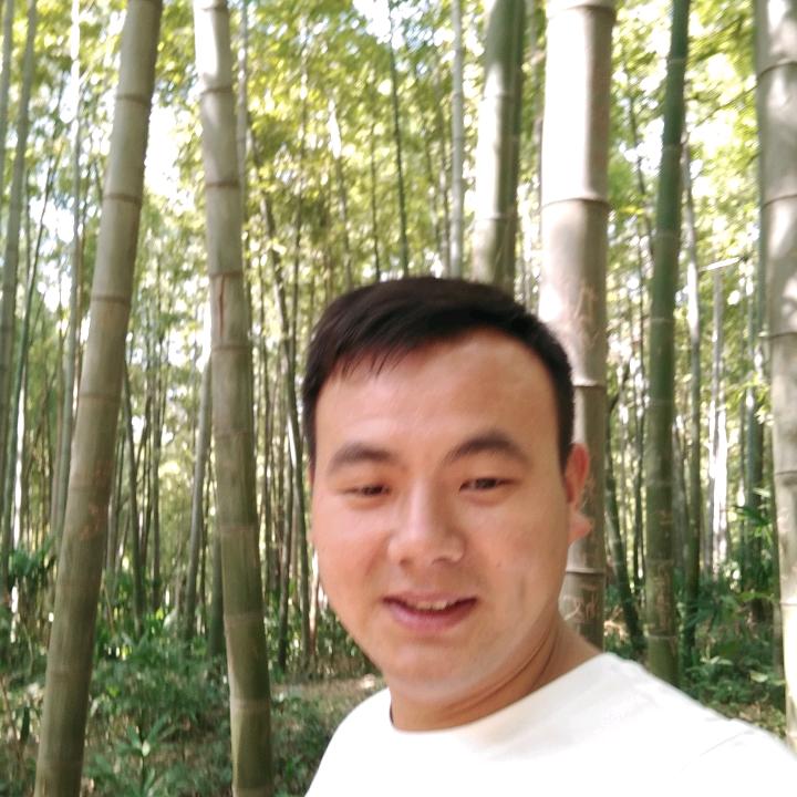 杨光