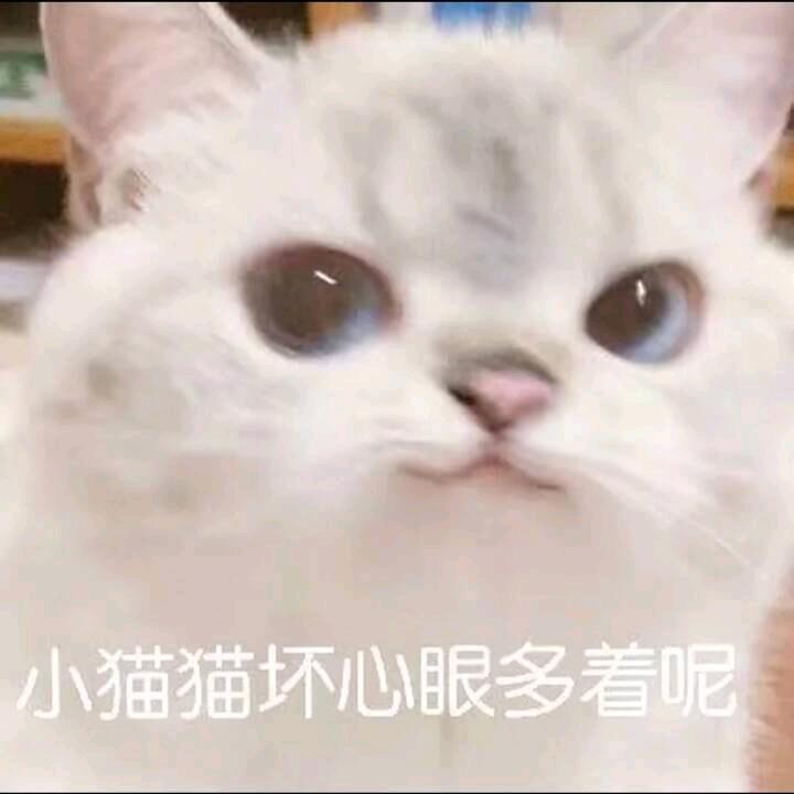叶青竹