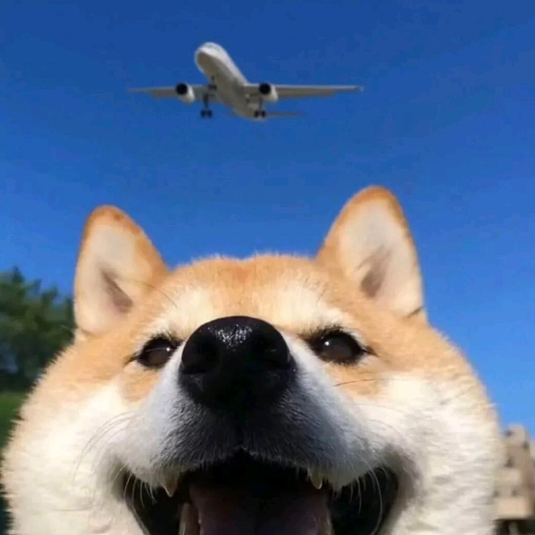 青淮