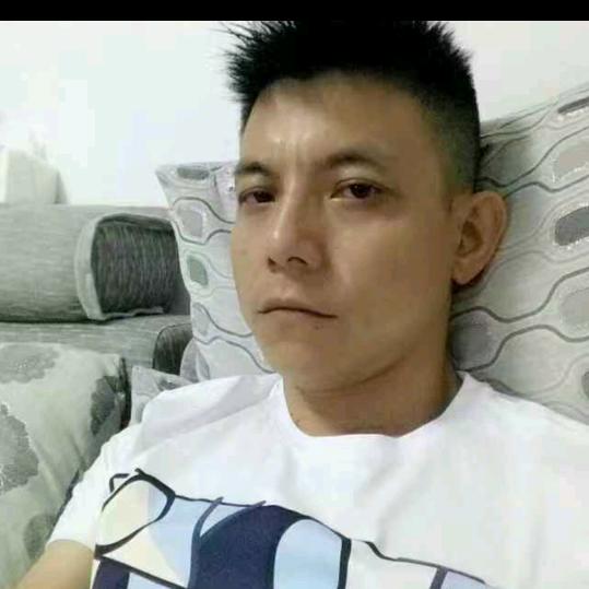 撕鳄蛇