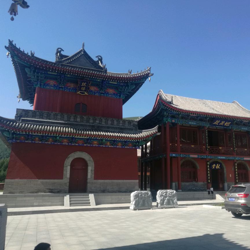 杨。。。。。。
