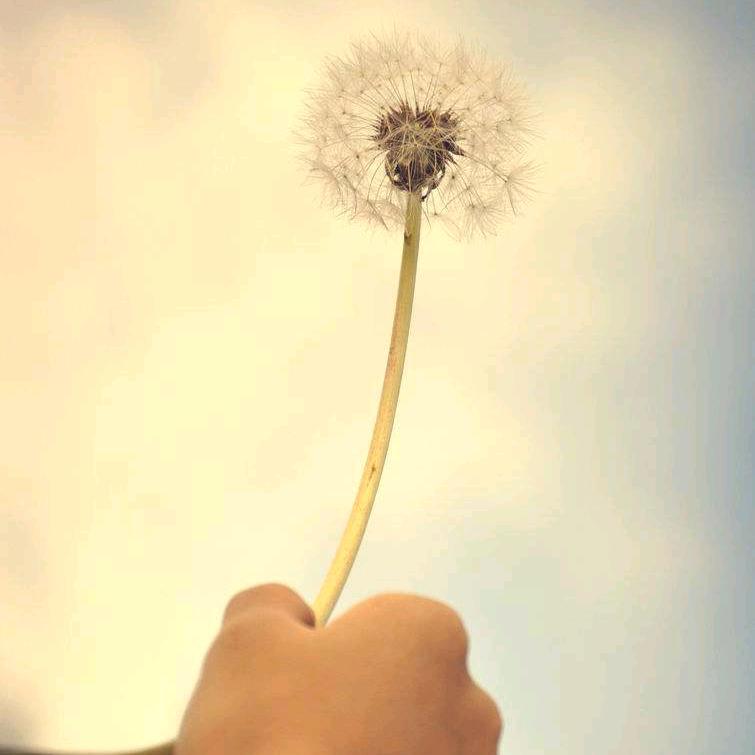 ㅇㅅㅇ隐入尘烟   ≖͞_≖̥