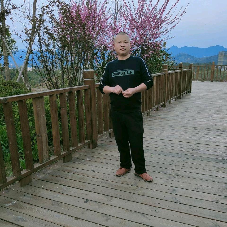 金马三轮，公寓出租，极飞无人机代理