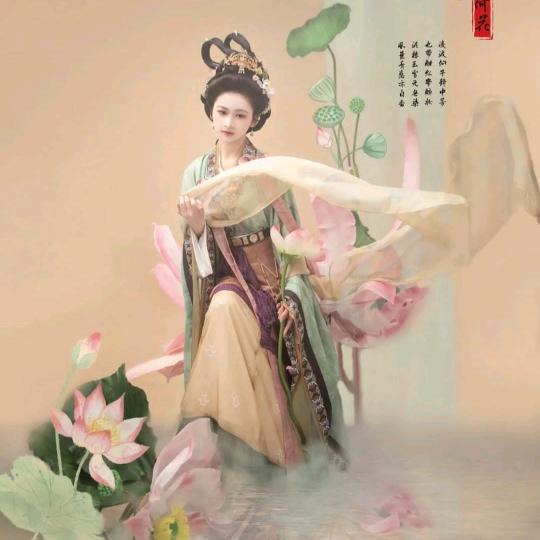天山白茶头像