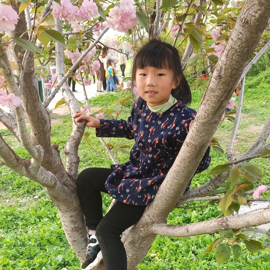 静心。。