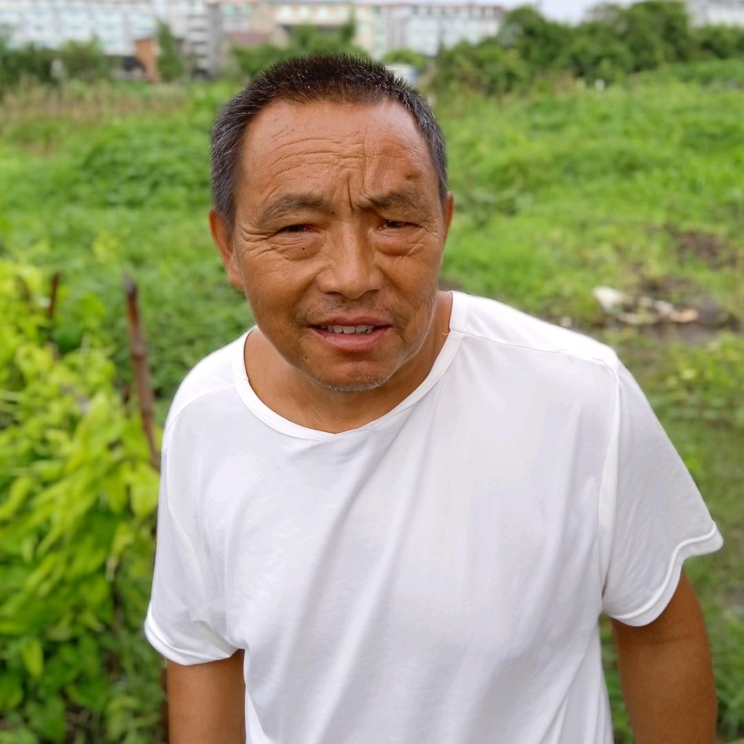 大毛