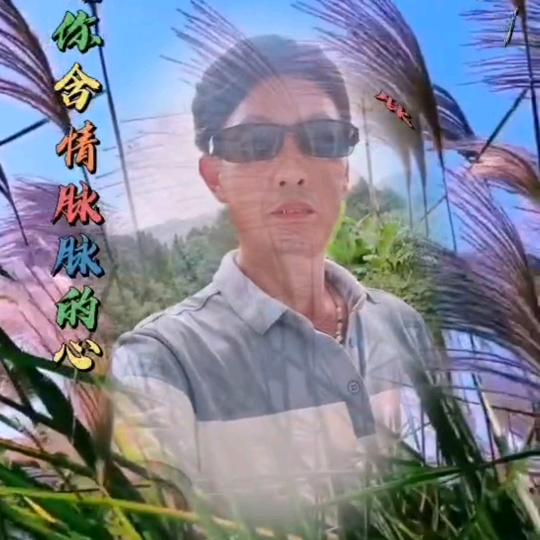 远方呼唤
