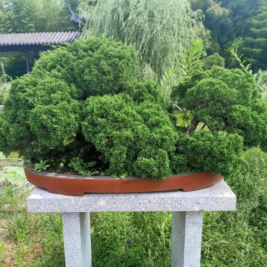 勇敢追
