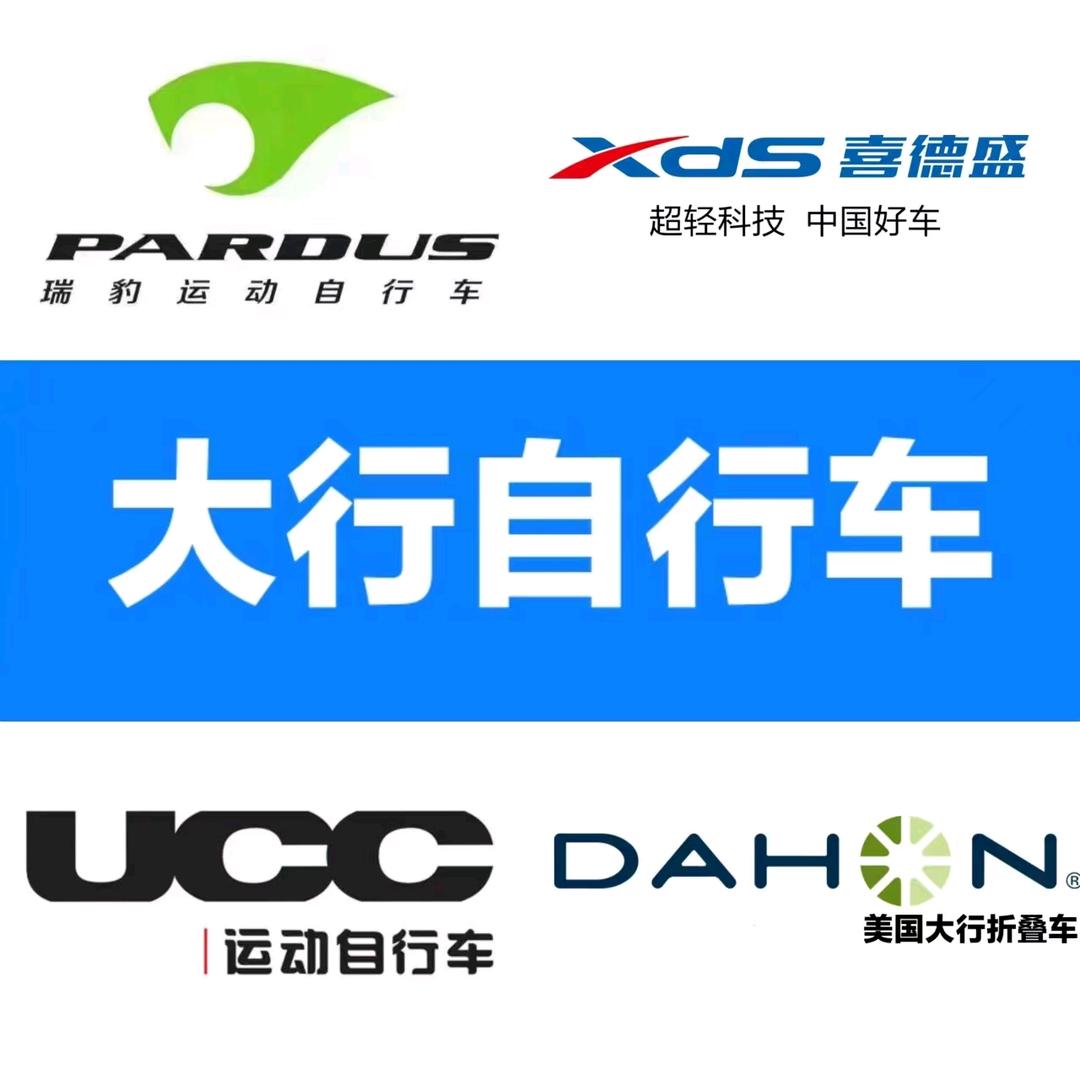 安国大行自行车