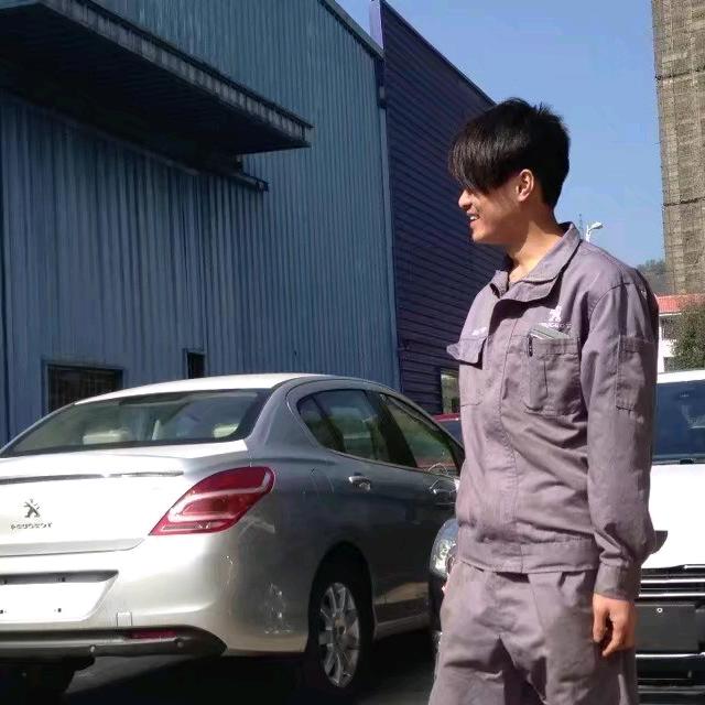 郴州标致雪铁龙专修老黄懂养车