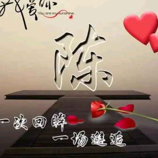 红蔷薇
