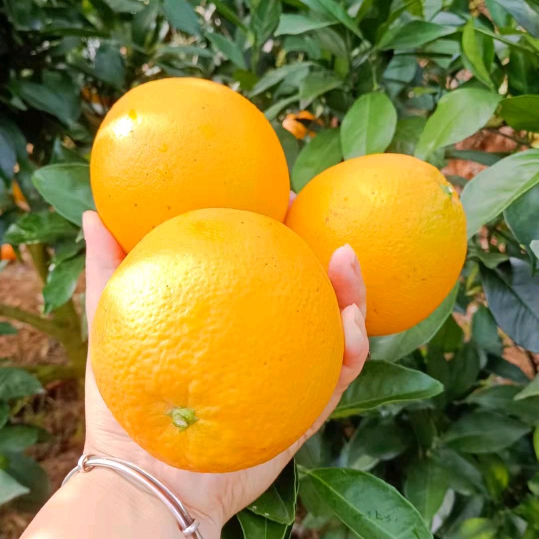 💕李ℒℴѵℯ何ۣۖ¹³¹⁴