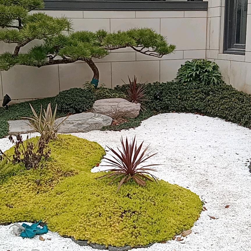 子非鱼，焉知鱼之乐。