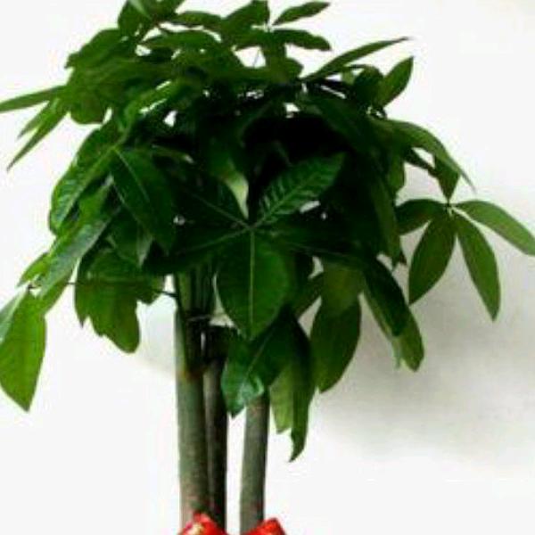 守住自己的金矿