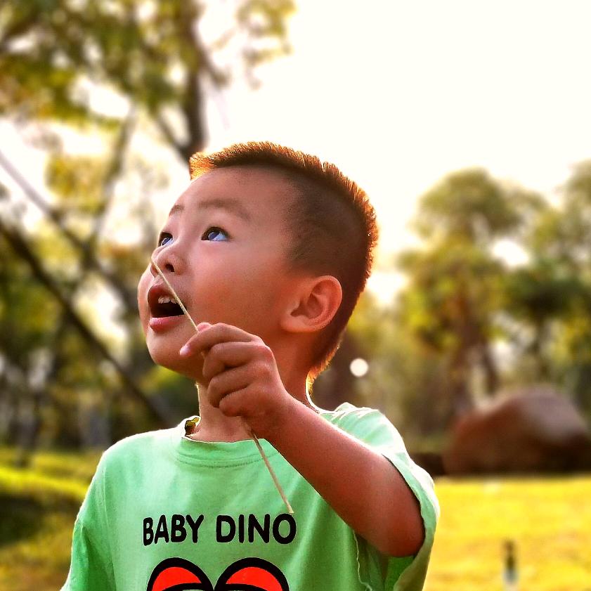 挖墙角的，记录真实的自己