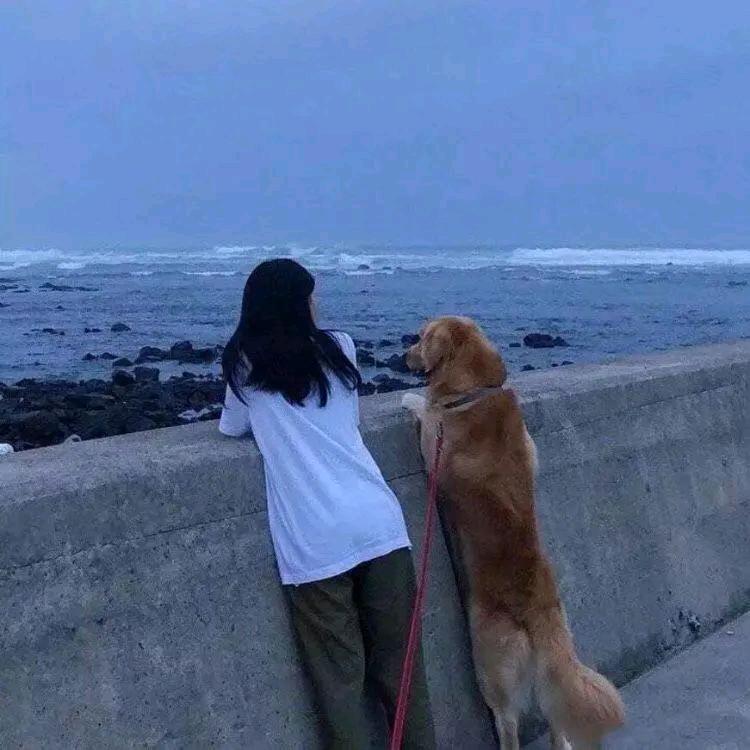 苏音子