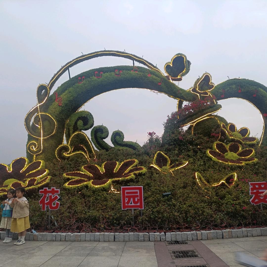 琴姐