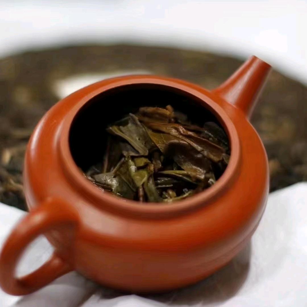 高凉普洱茶行
