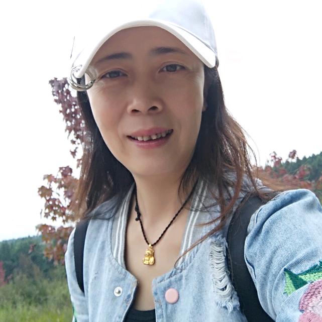 兰炫小马