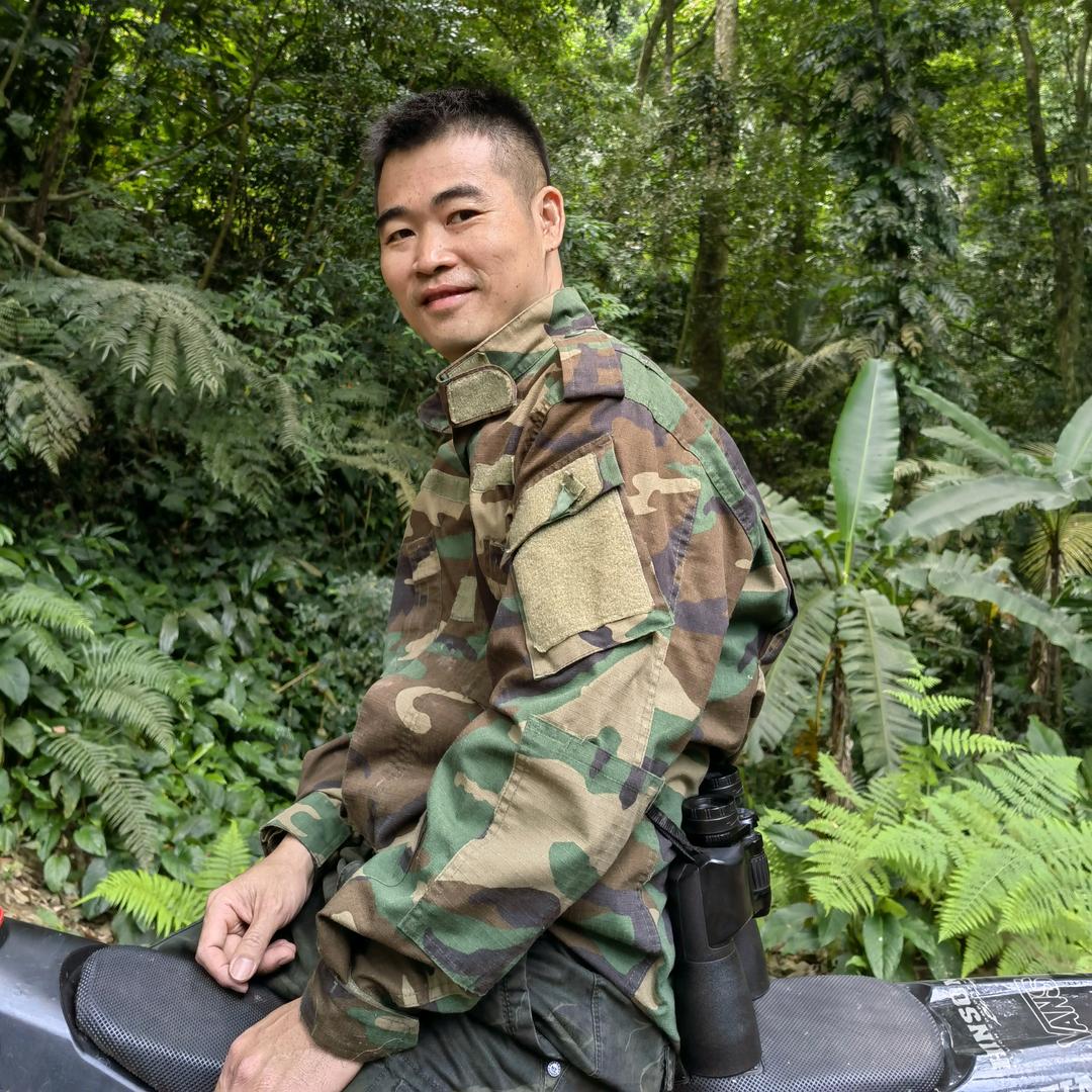 海南陈涛