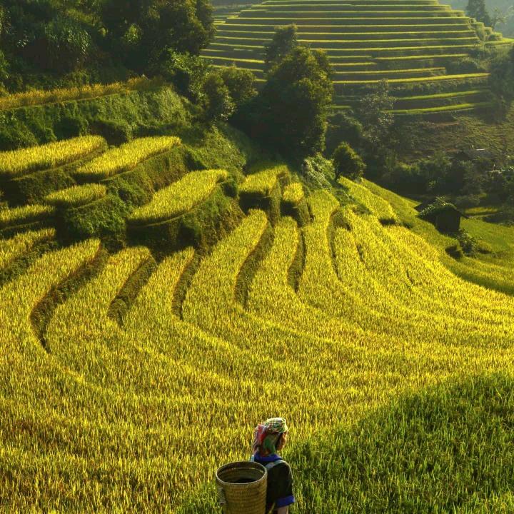 秋凉
