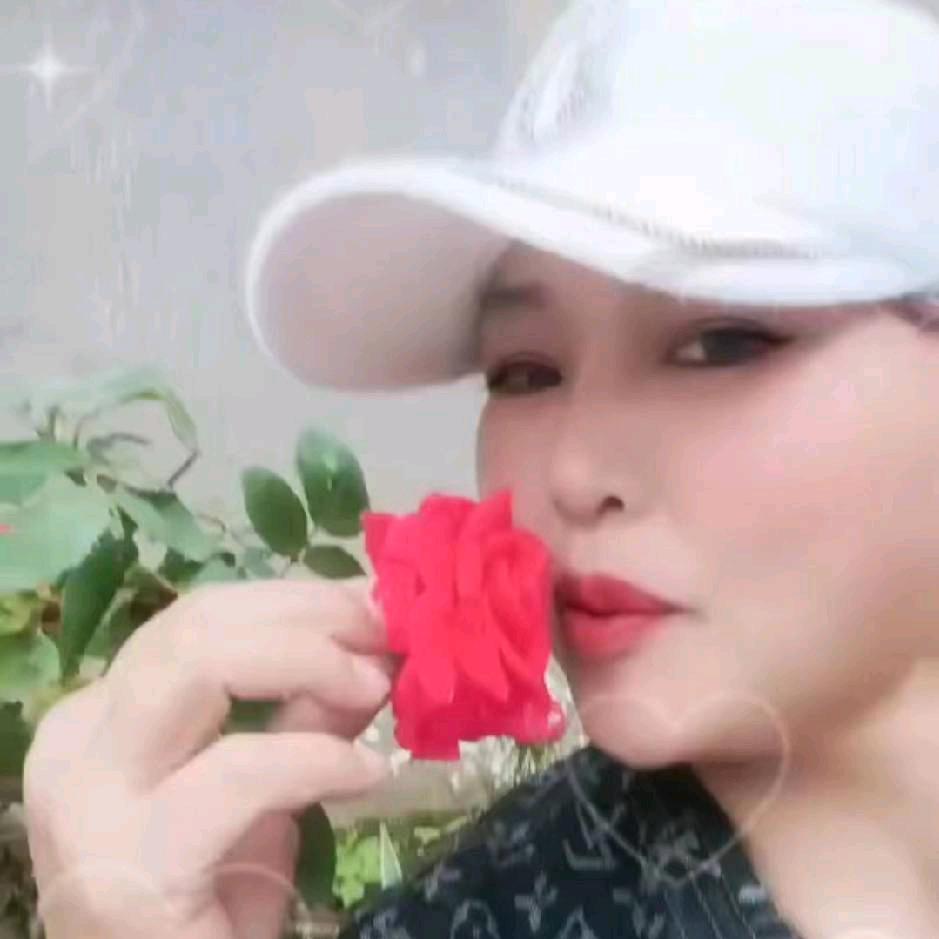 安小七