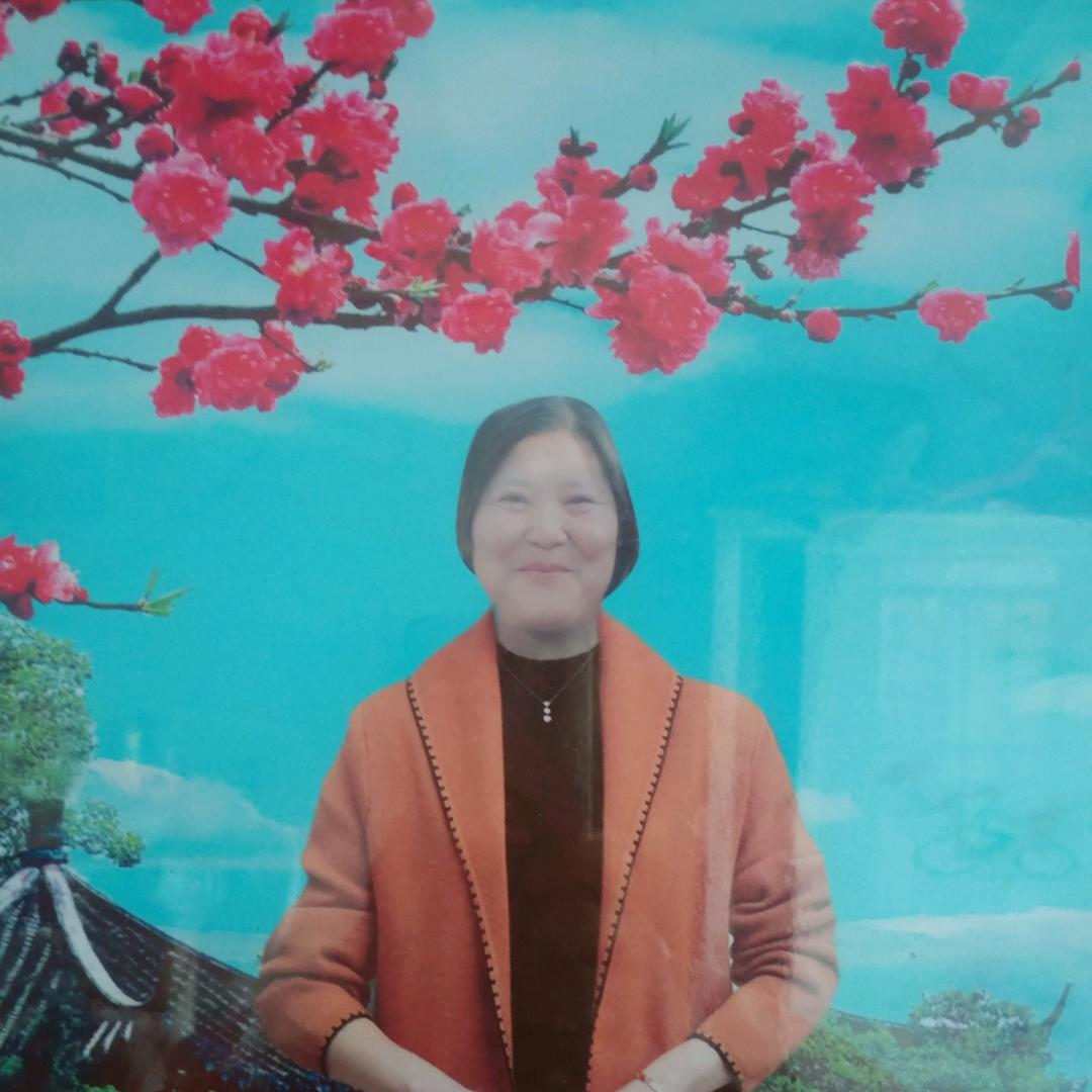 '时光不老